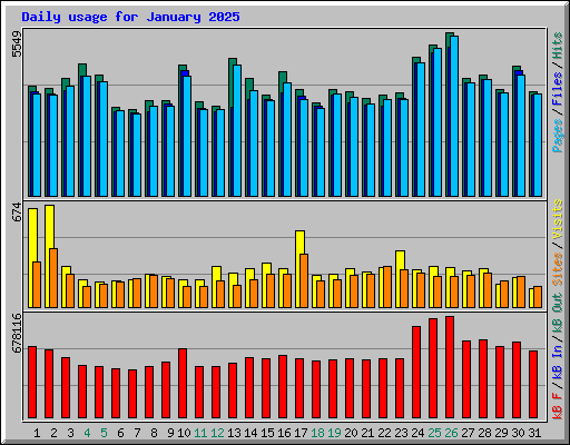 Daily usage for January 2025