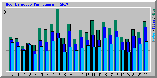 Hourly usage for January 2017