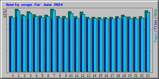 Hourly usage for June 2024