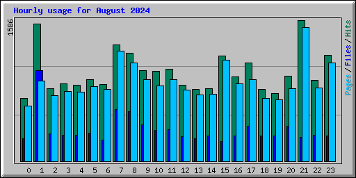 Hourly usage for August 2024