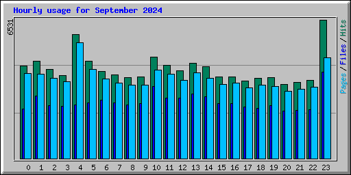 Hourly usage for September 2024