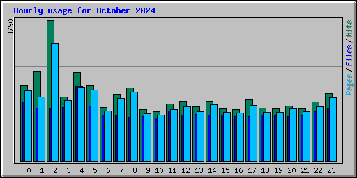 Hourly usage for October 2024