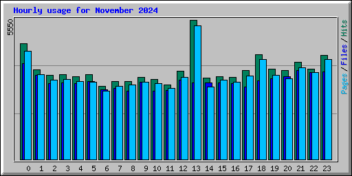 Hourly usage for November 2024