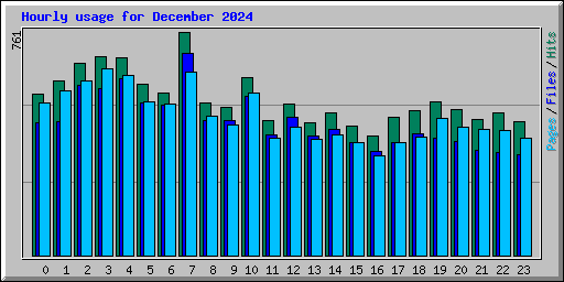 Hourly usage for December 2024