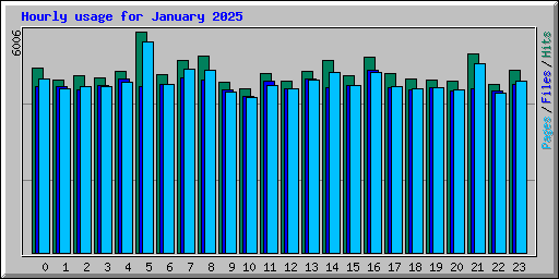 Hourly usage for January 2025